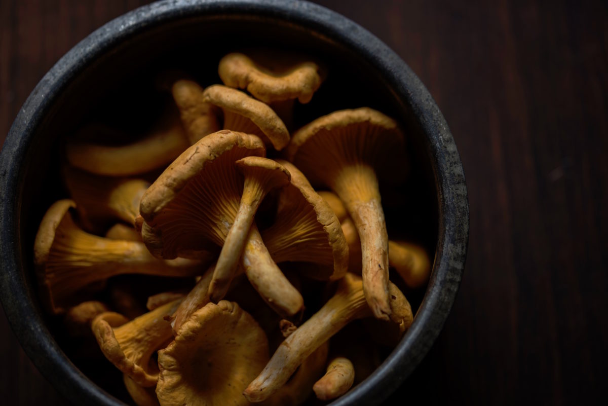 Cocinas con encanto del Pirineo catalán: La Borda del Ceretà ...